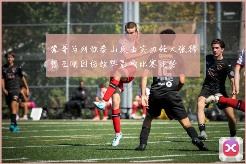蒙哥马利称泰山反击实力强大张稀哲王刚因伤缺阵影响比赛走势